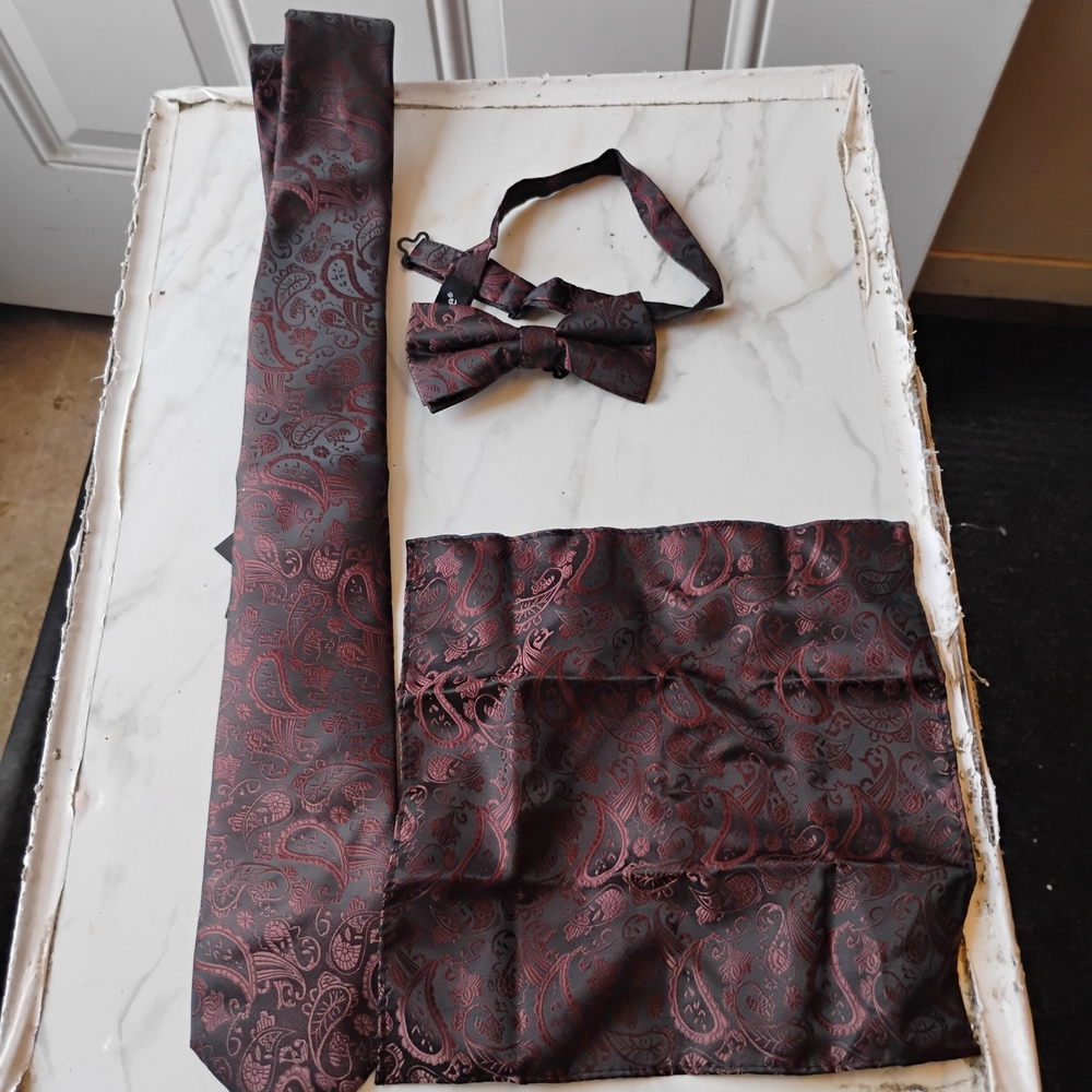 Sophisticated Paisley Tie Set in Black and Red